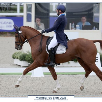 Masterclass dressage mondial du lion