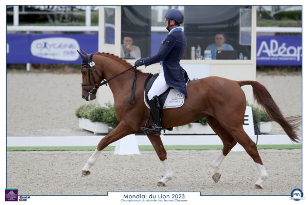 Masterclass dressage mondial du lion