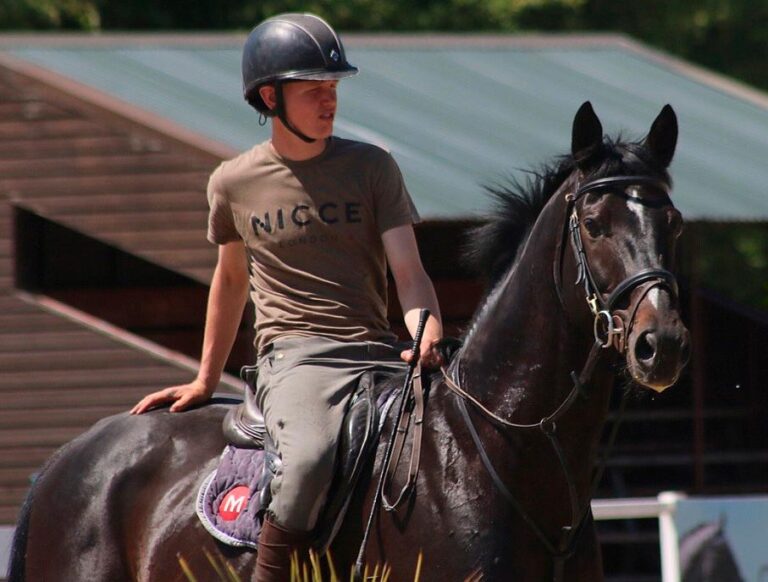 The After Party West Kington Stud