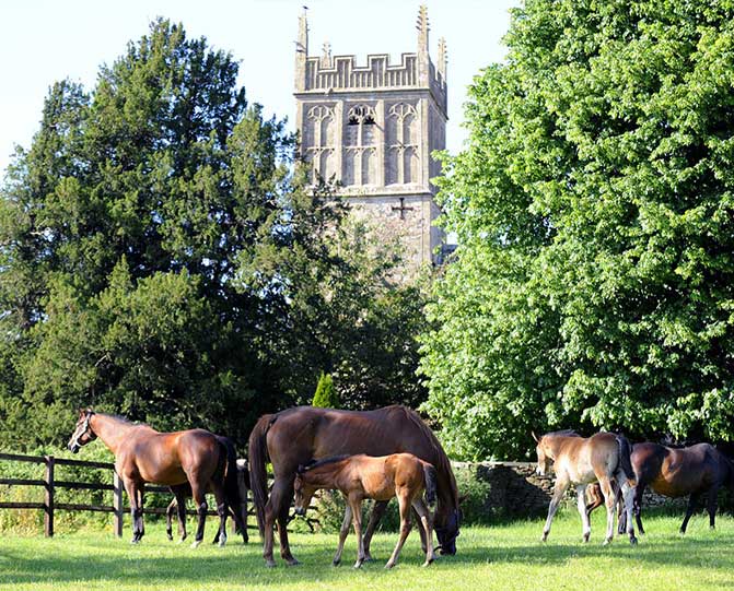 West Kington Stud