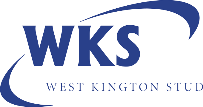 Wks logo blue